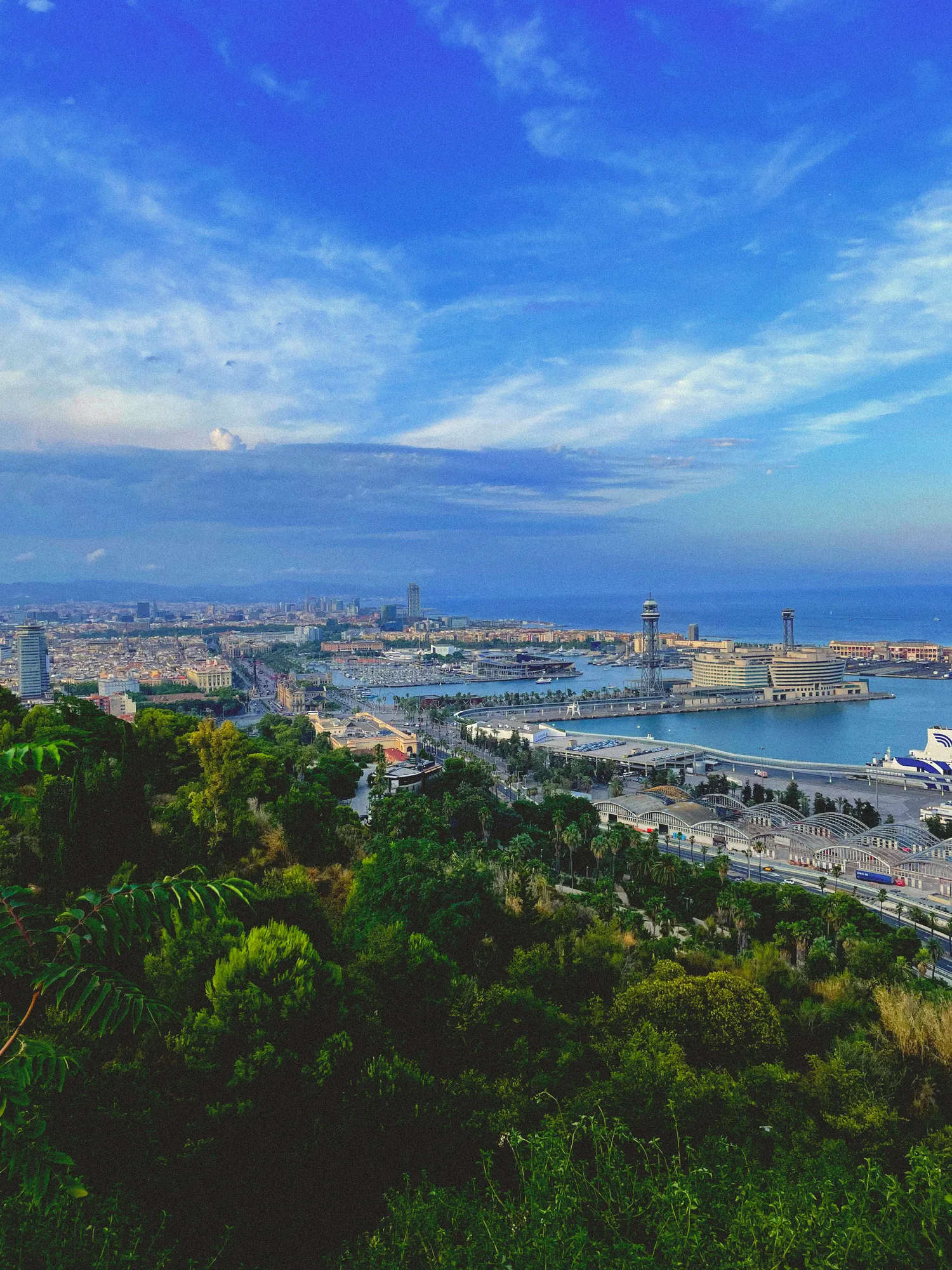 Barcelona y el puerto vistos desde Montjuïc